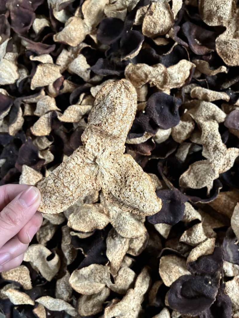 陈皮批发茶枝柑陈皮源头厂家