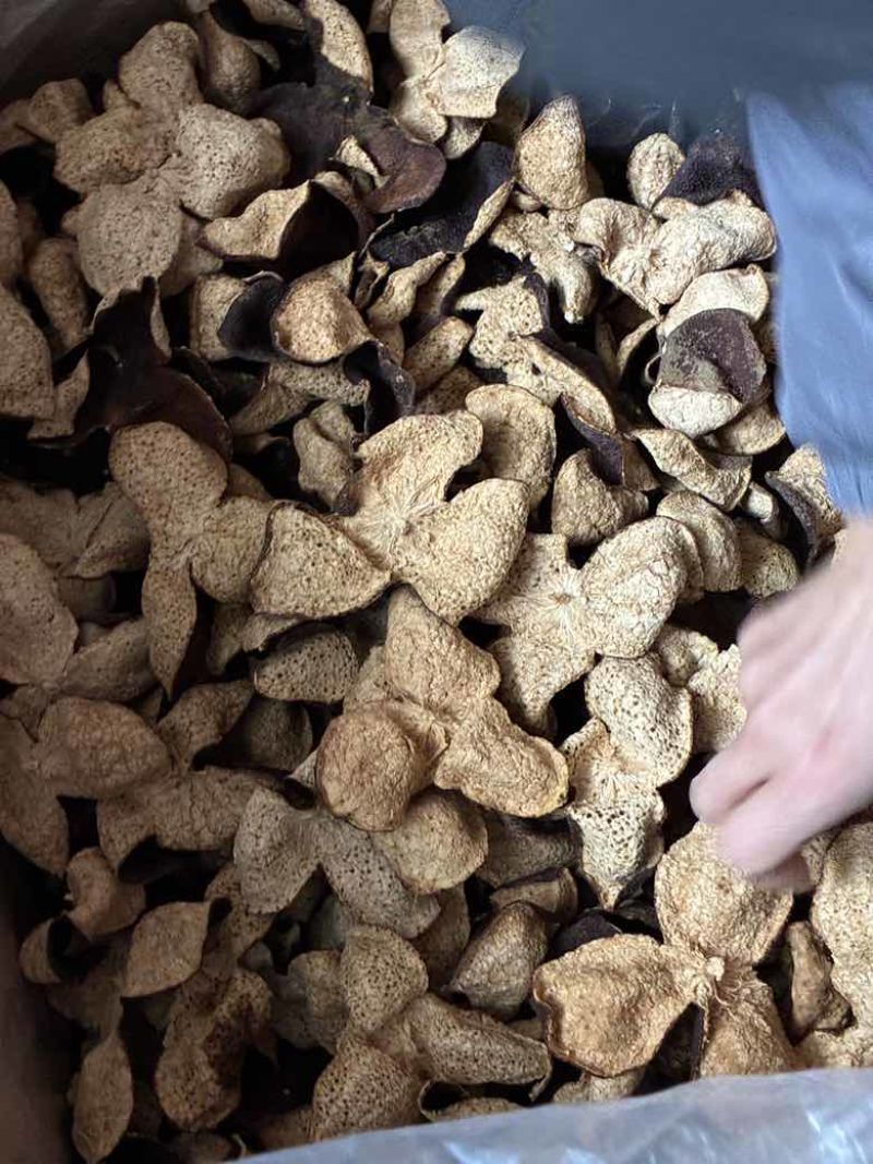 陈皮批发茶枝柑陈皮源头厂家