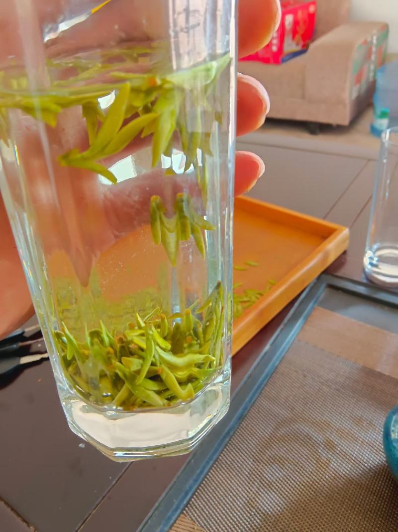四川版龙井茶