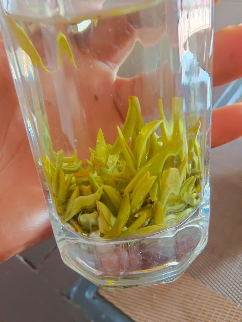 四川版龙井茶