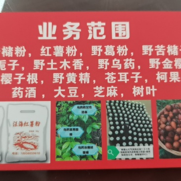 纯野生乌药