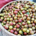 正宗野生小茶油