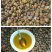 正宗野生小茶油