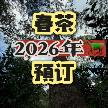 云南西双版纳源厂地普洱茶：晒青毛茶