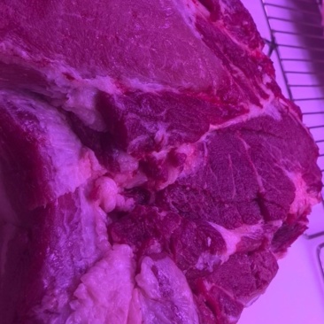 鲜肉