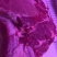 鲜肉
