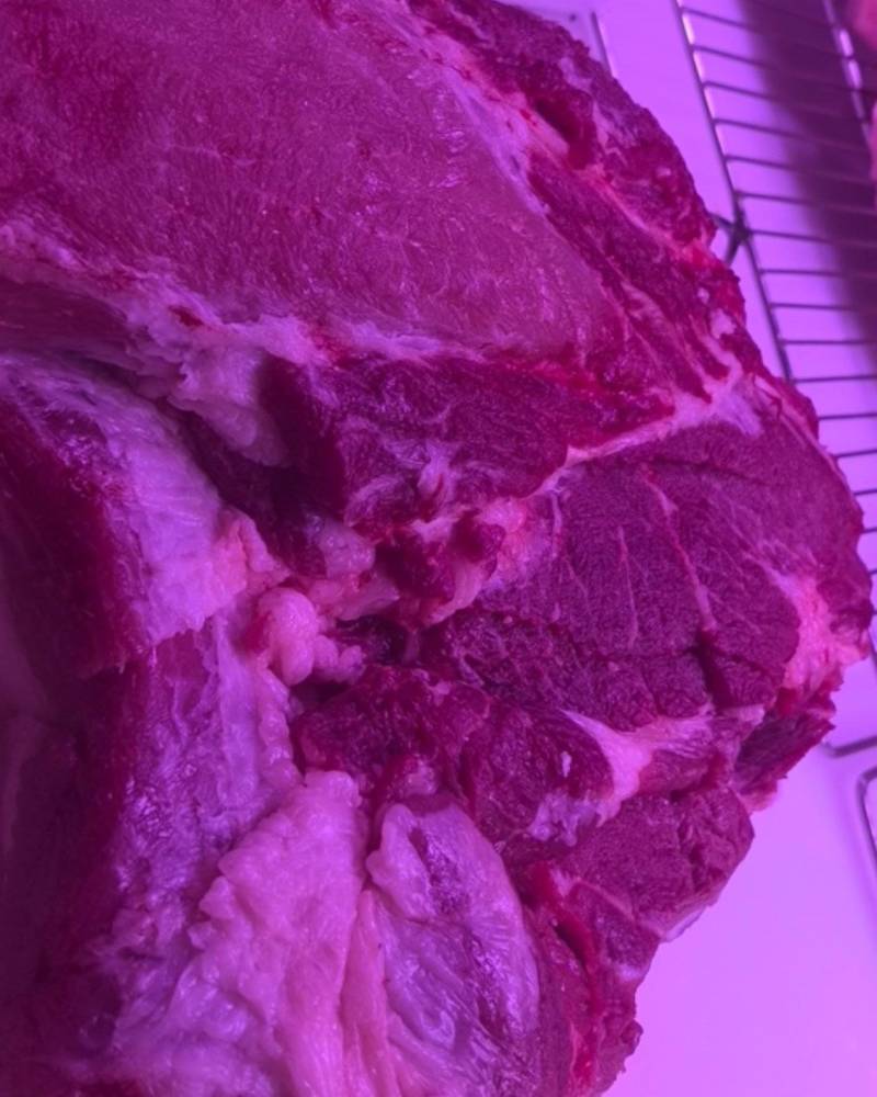 鲜肉