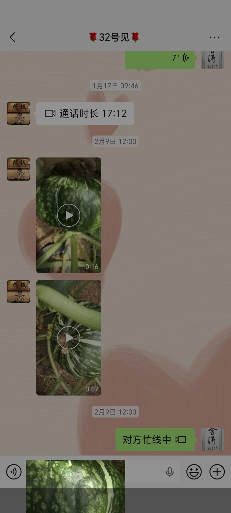 板栗南瓜