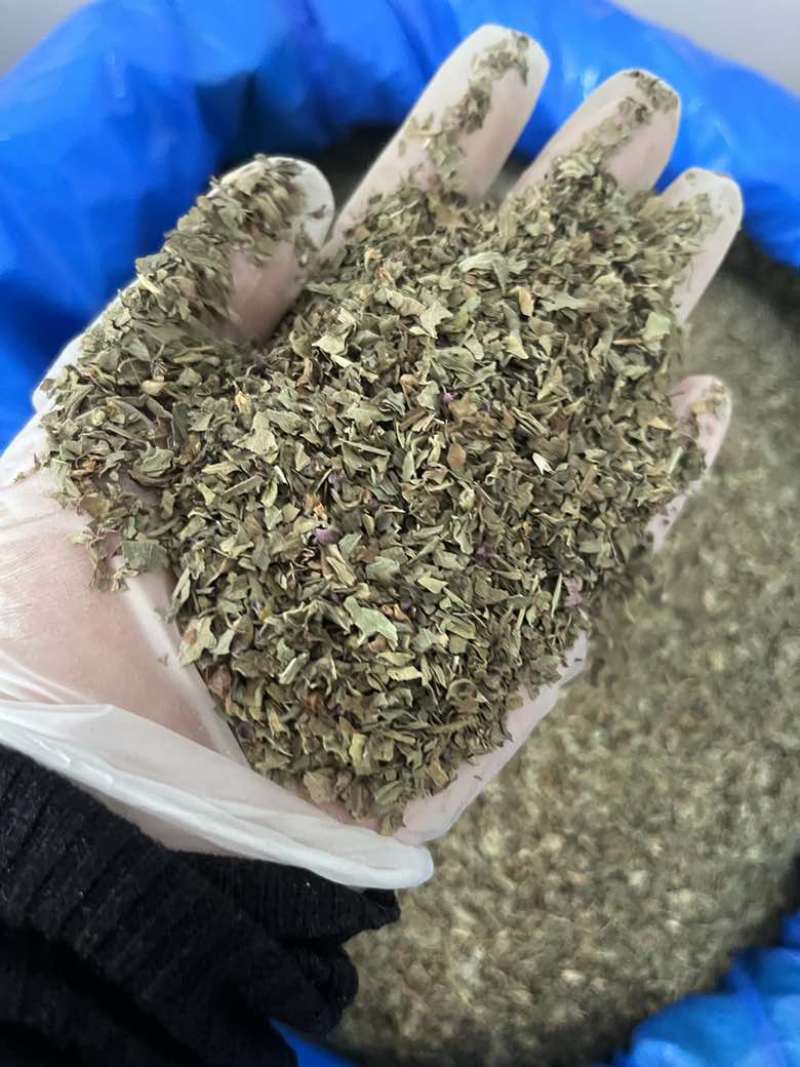罗勒香草干货西餐调味料香气四溢甜味浓郁制作酱汁烤鸡西餐香料