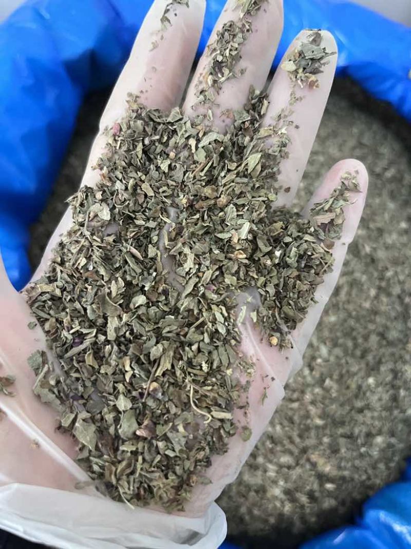 罗勒香草干货西餐调味料香气四溢甜味浓郁制作酱汁烤鸡西餐香料