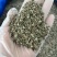 罗勒香草干货西餐调味料香气四溢甜味浓郁制作酱汁烤鸡西餐香料