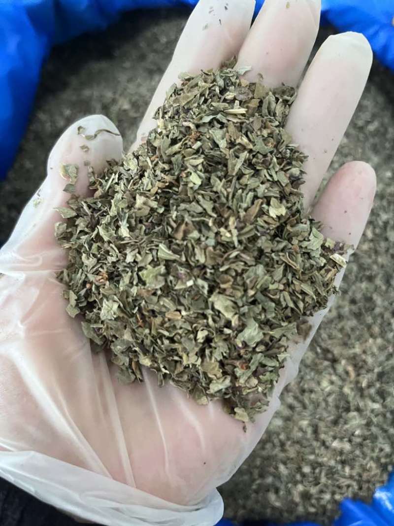 罗勒香草干货西餐调味料香气四溢甜味浓郁制作酱汁烤鸡西餐香料