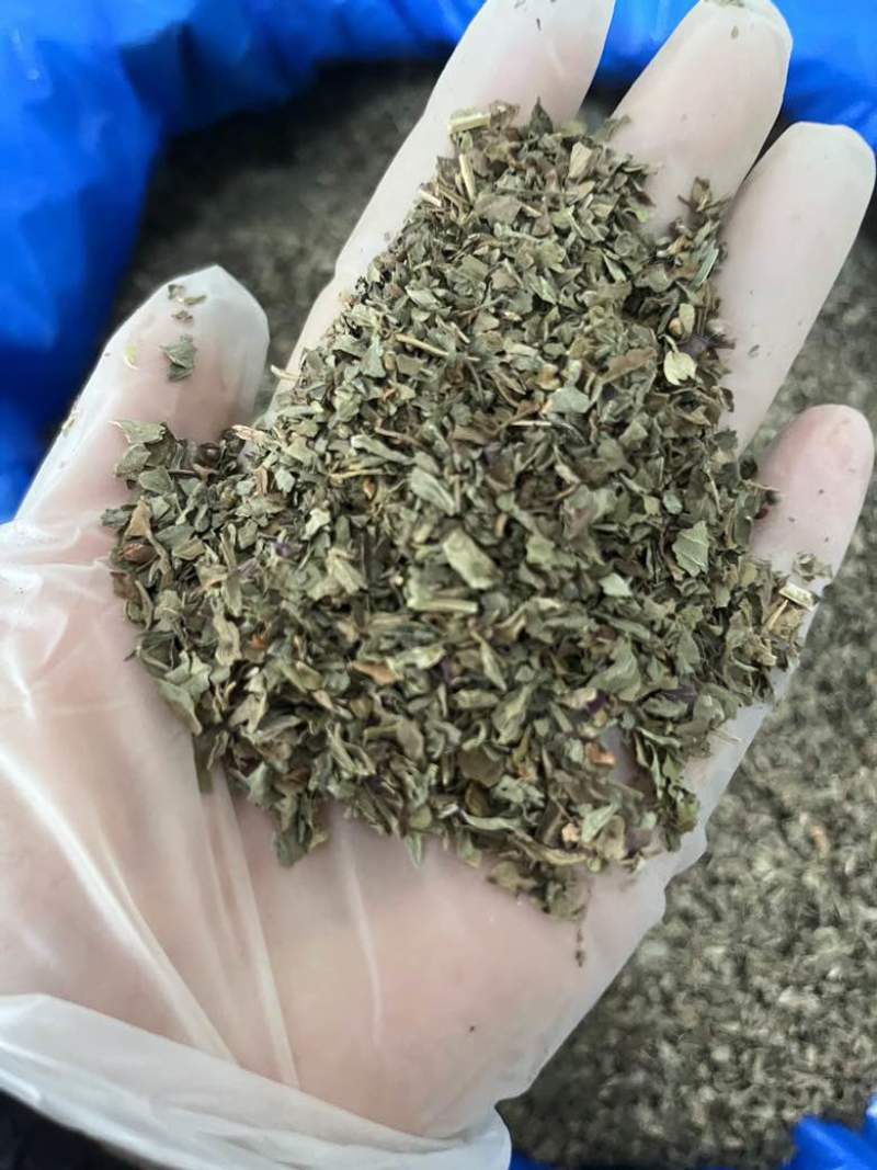 罗勒香草干货西餐调味料香气四溢甜味浓郁制作酱汁烤鸡西餐香料