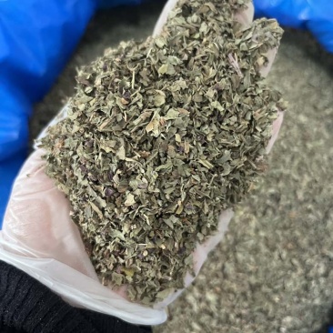 罗勒香草干货西餐调味料香气四溢甜味浓郁制作酱汁烤鸡西餐香料