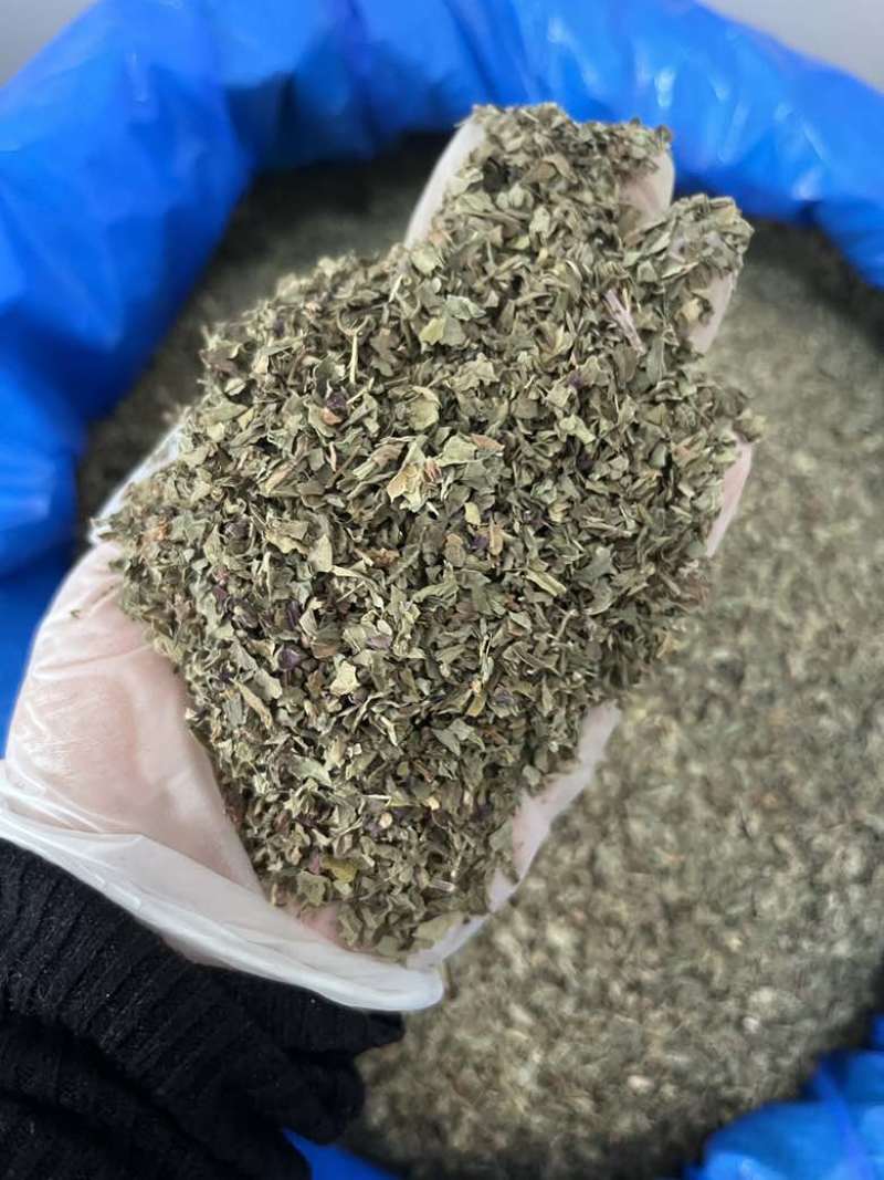 罗勒香草干货西餐调味料香气四溢甜味浓郁制作酱汁烤鸡西餐香料