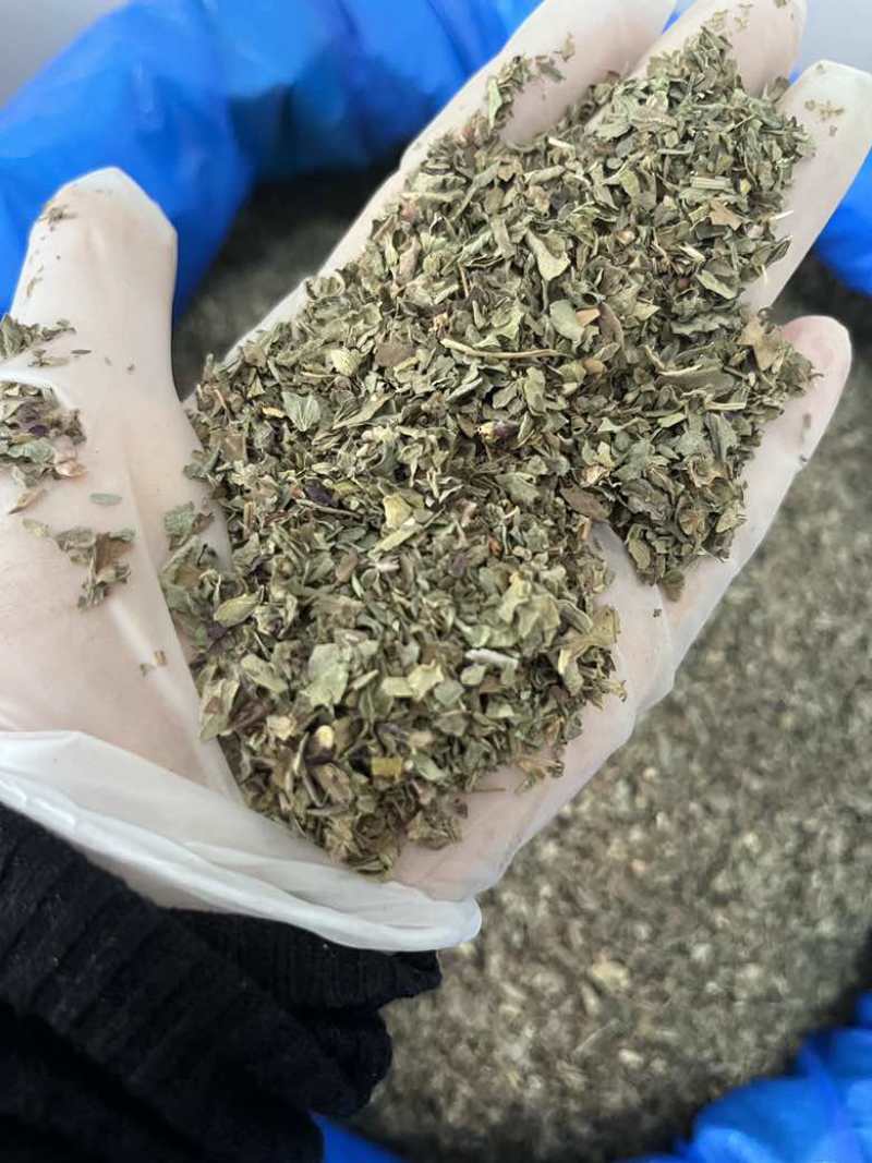 罗勒香草干货西餐调味料香气四溢甜味浓郁制作酱汁烤鸡西餐香料