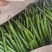 三号线椒