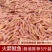火箭鱿鱼5斤装