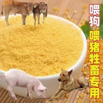 膨化玉米粉全熟膨化玉米面喂狗狐狸专用狗粮野钓鱼饵专用清仓5斤