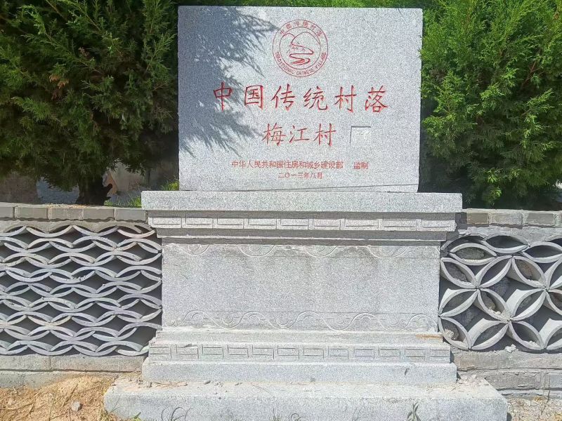 甘肃高山荞麦面