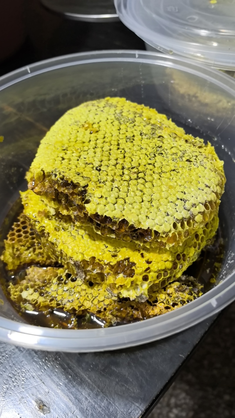 正宗冬蜜已上市，蜜香浓郁、懂的都懂。