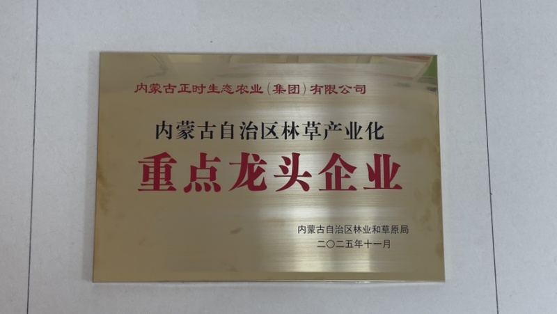 燕麦种子（贝勒2、牧乐思）