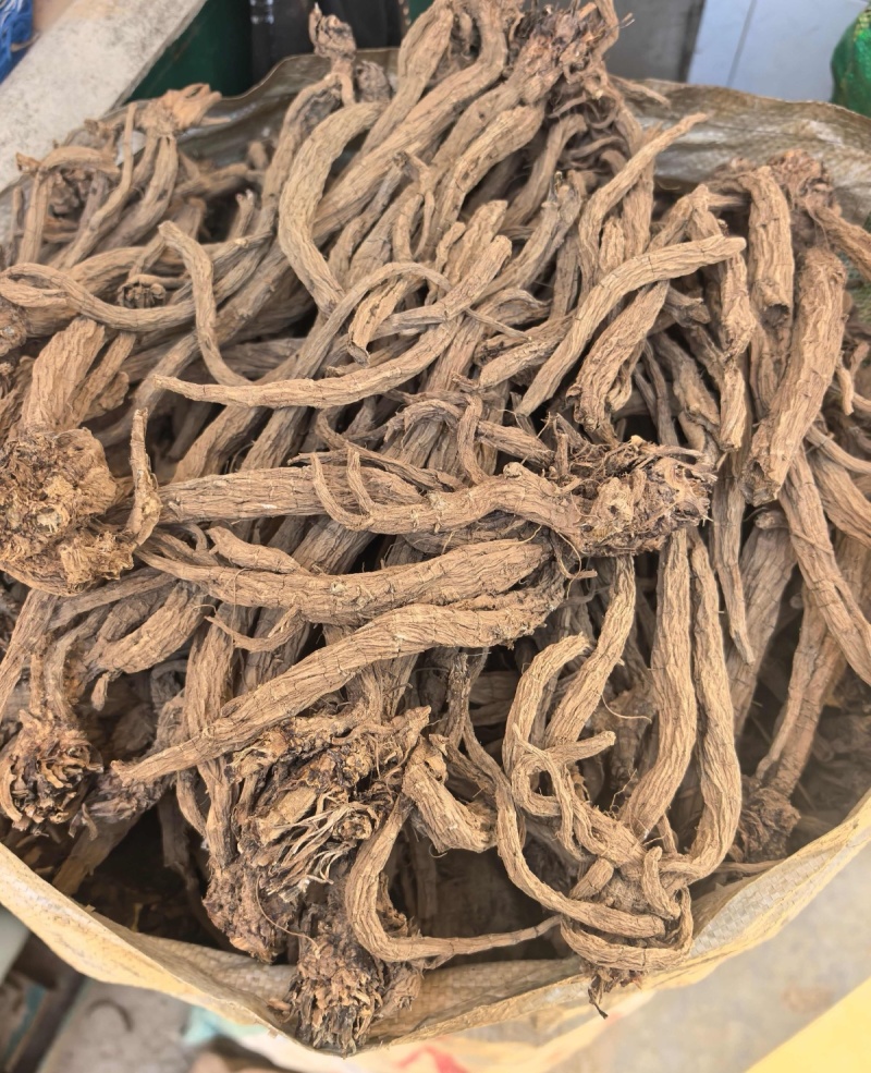 中药材——续断