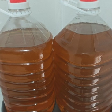 山茶油