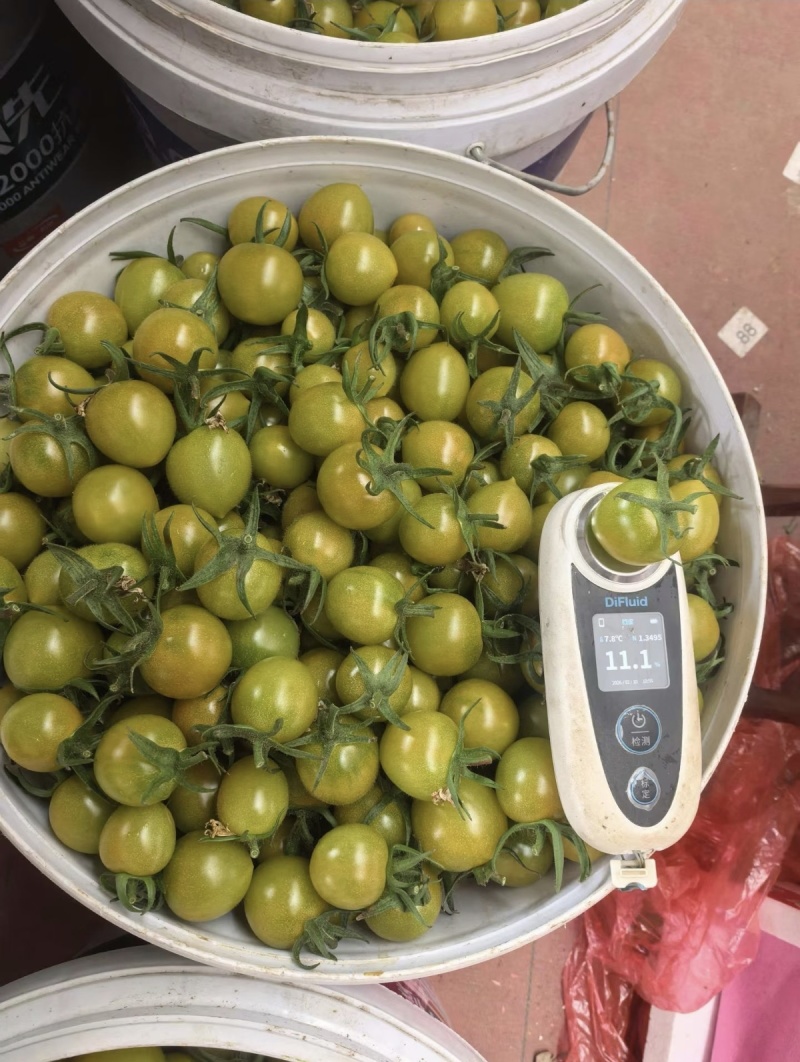 产地直供精品水果番茄，生吃超甜，一口爆汁，低卡高维C