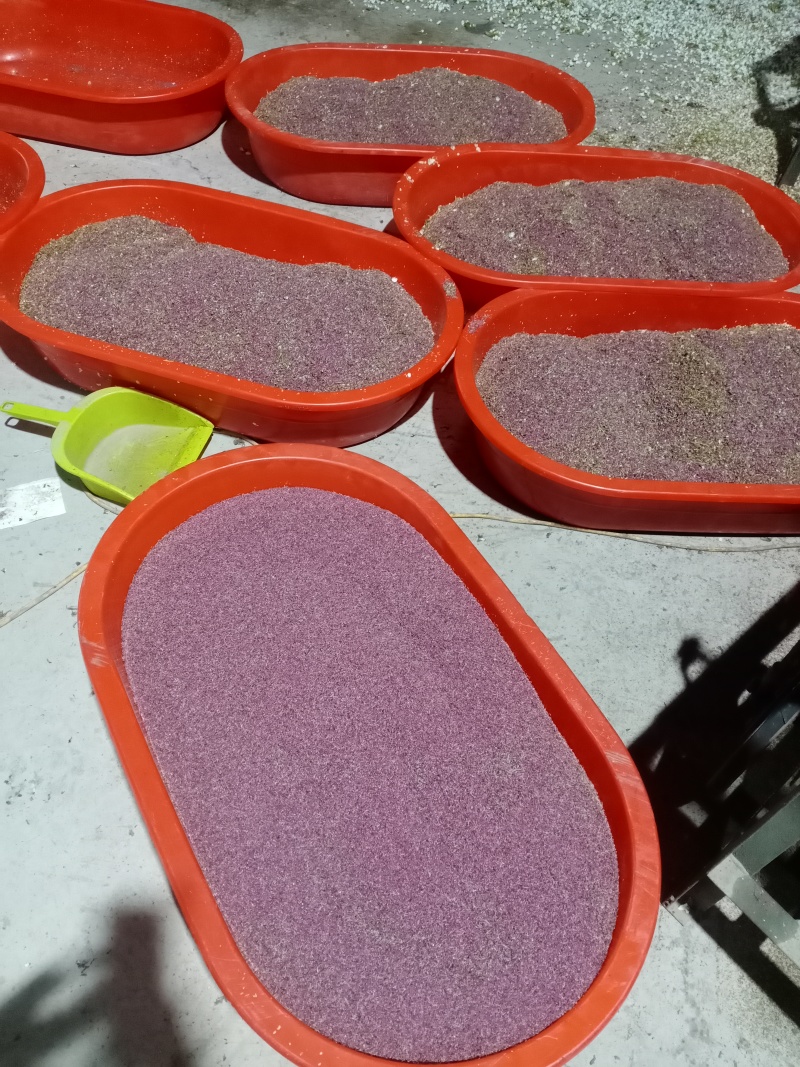 纯雪梨花粉，鸭梨花粉，原产地直发，，高活性，坐果率高，