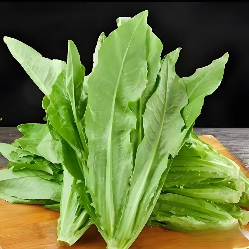 油麦菜