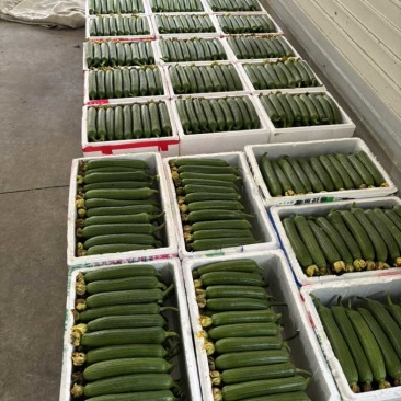 精品精品。冲冲冲