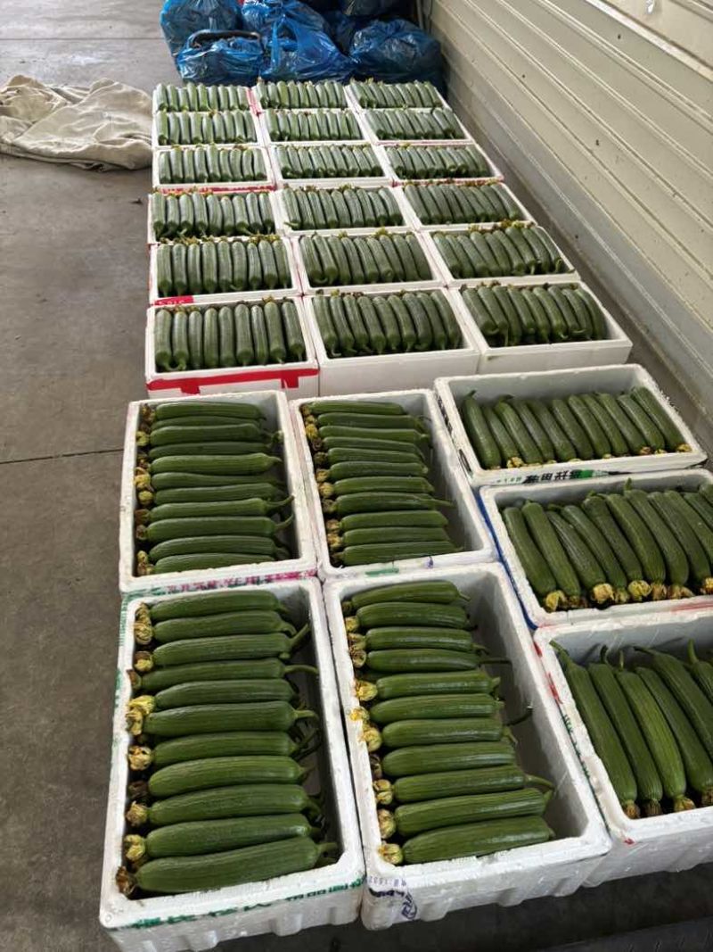 精品精品。冲冲冲