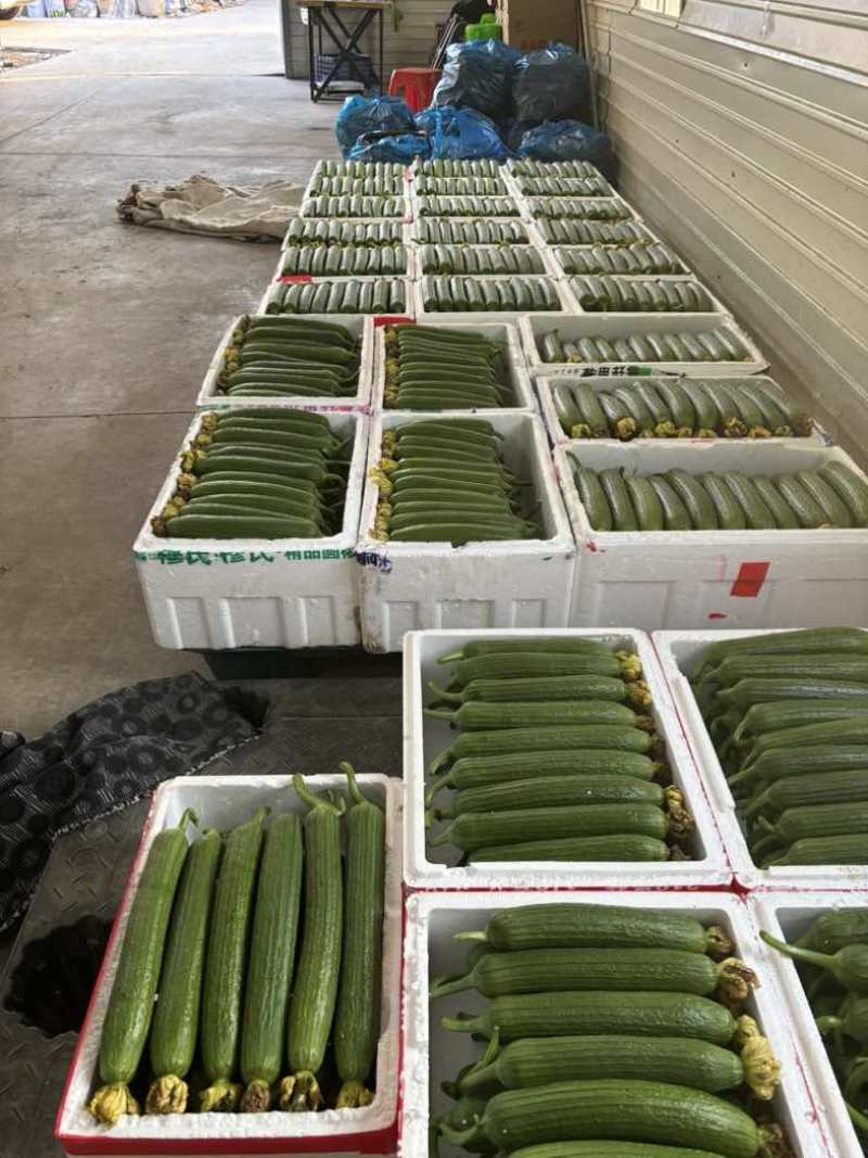精品精品。冲冲冲