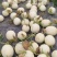 玉菇甜瓜。甜甜甜。蜜蜜蜜。好恰好恰。快来快来