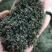 绿茶香茶