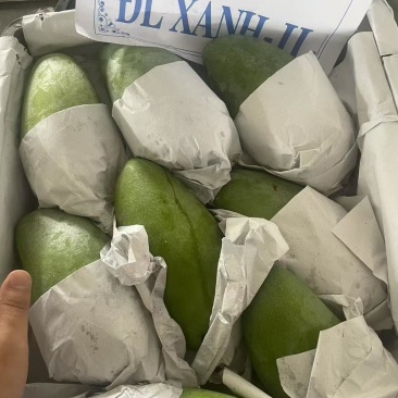 越南大青芒二级三级果