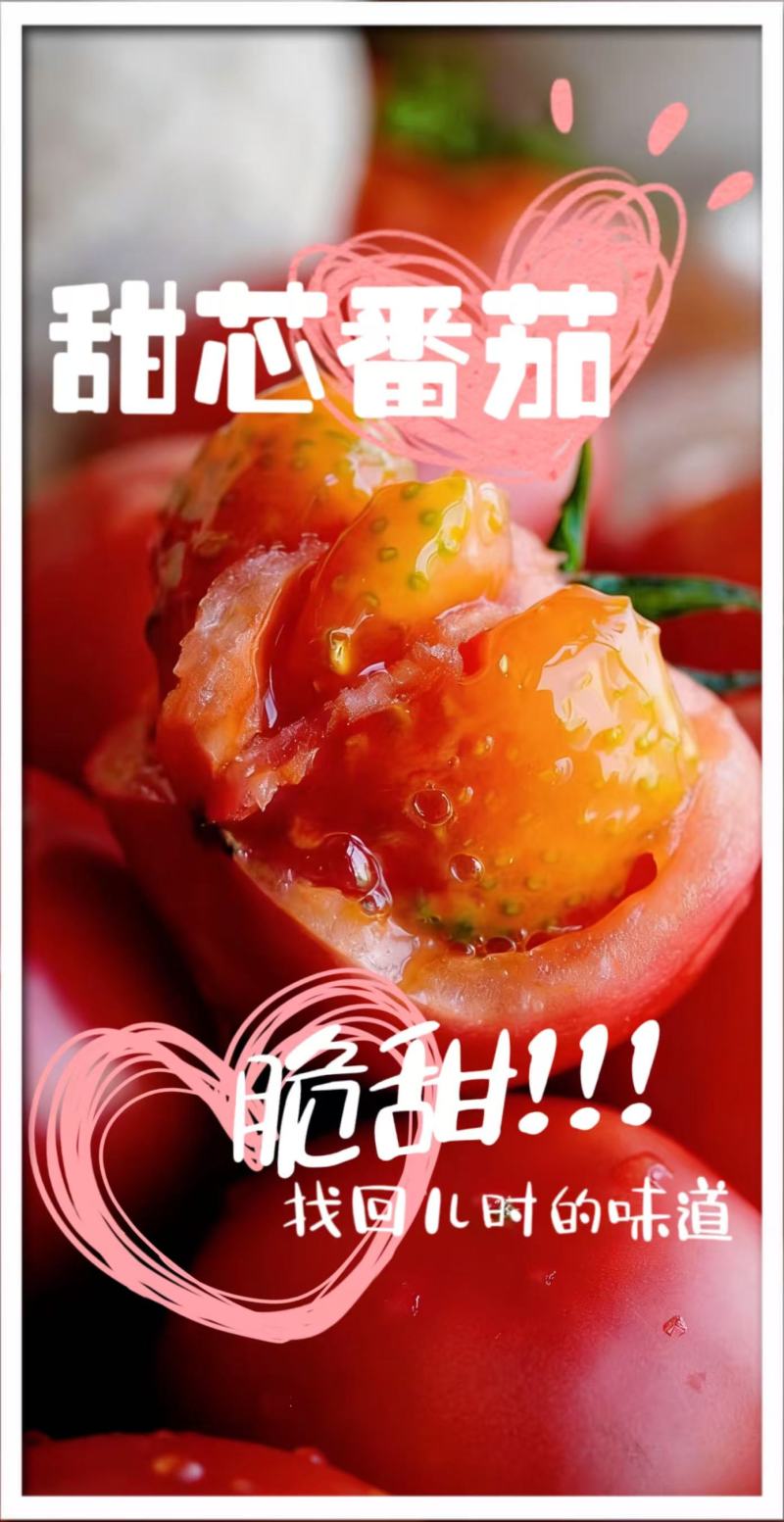 陕西渭南水果番茄甜芯果