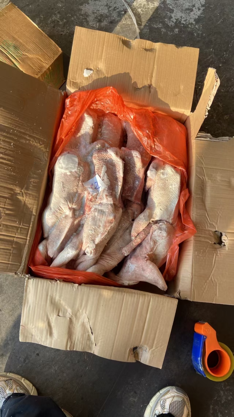 三级鹅有货