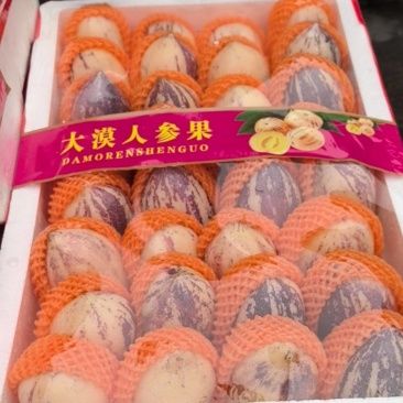 新鲜到货人生果