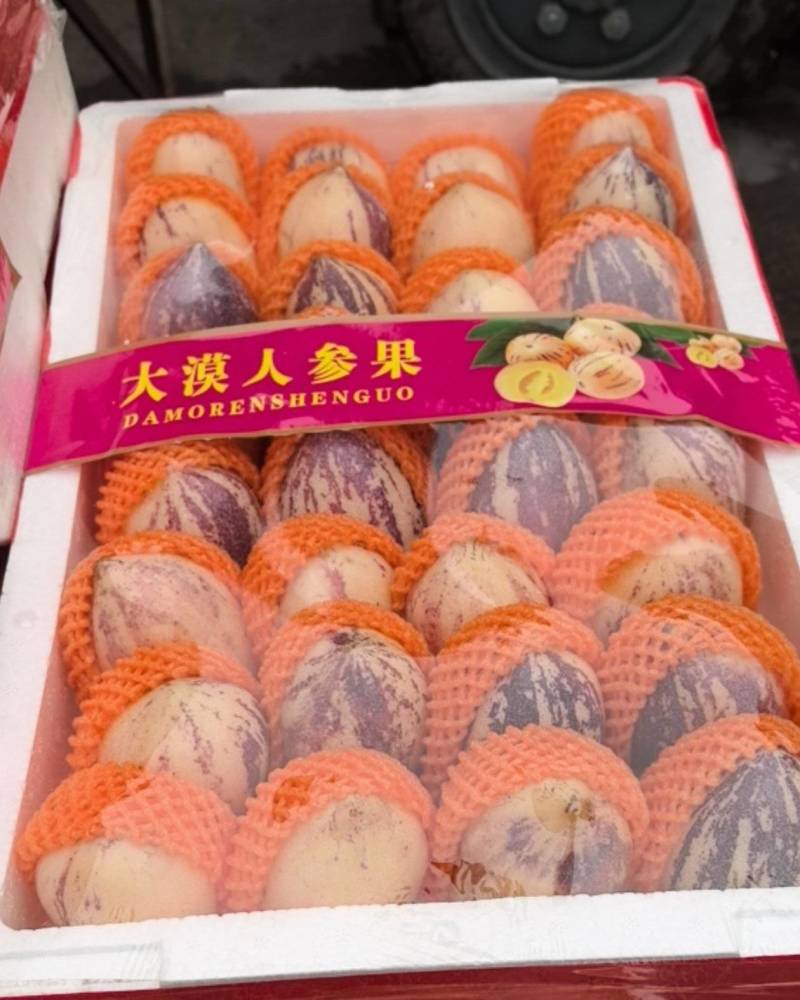 新鲜到货人生果