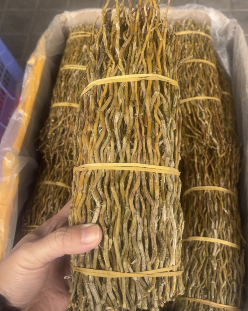 铁皮石斛
