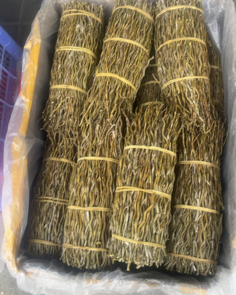 铁皮石斛