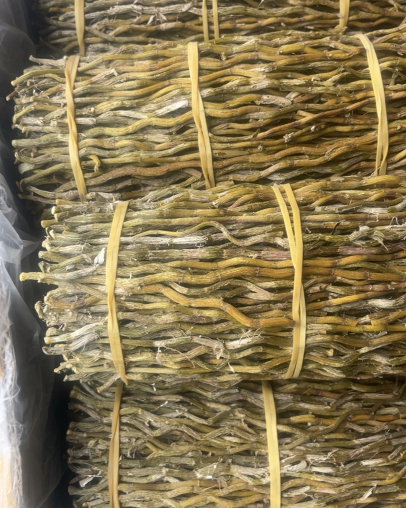 铁皮石斛