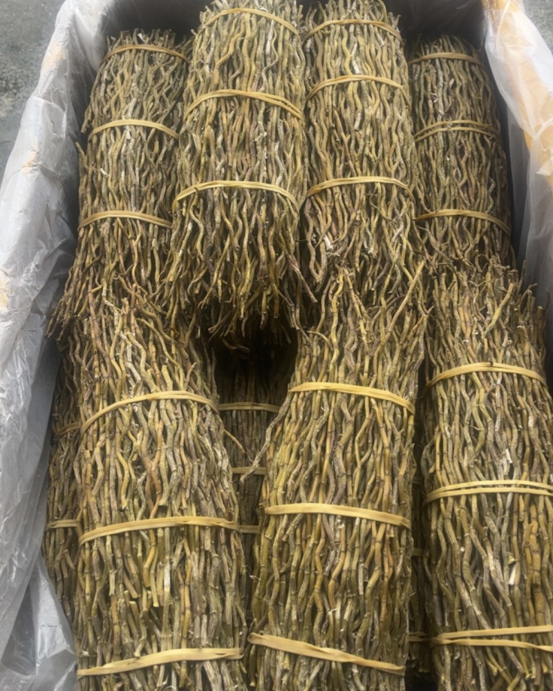 铁皮石斛