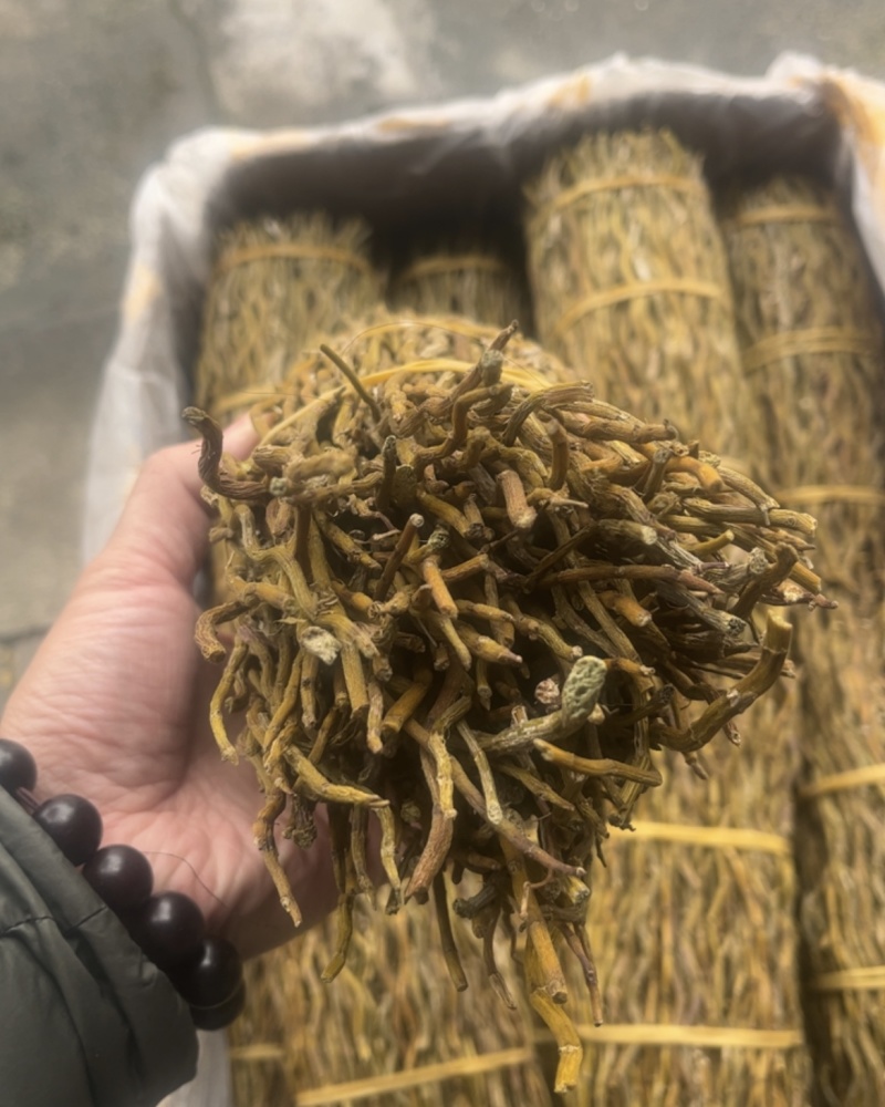 铁皮石斛