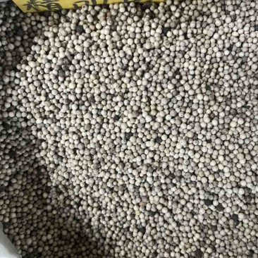 海南精品白胡椒物美价廉欢迎咨询