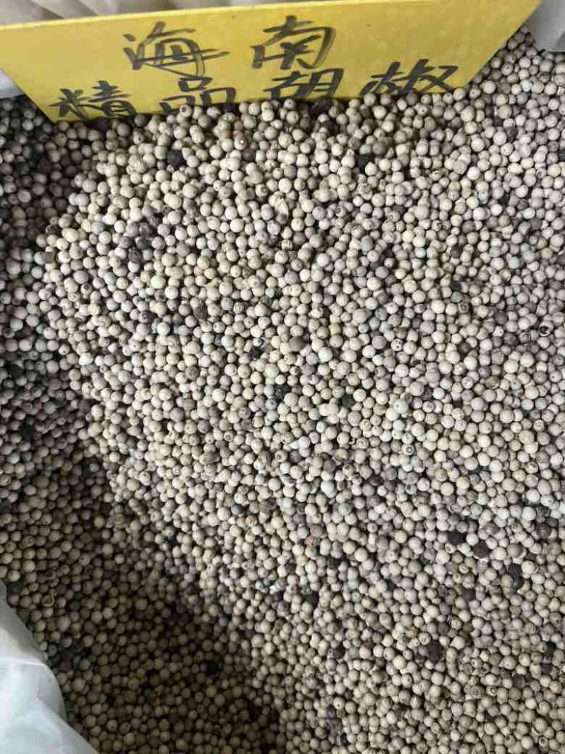 海南精品白胡椒物美价廉欢迎咨询