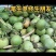 海南文昌东郊椰林直采直发