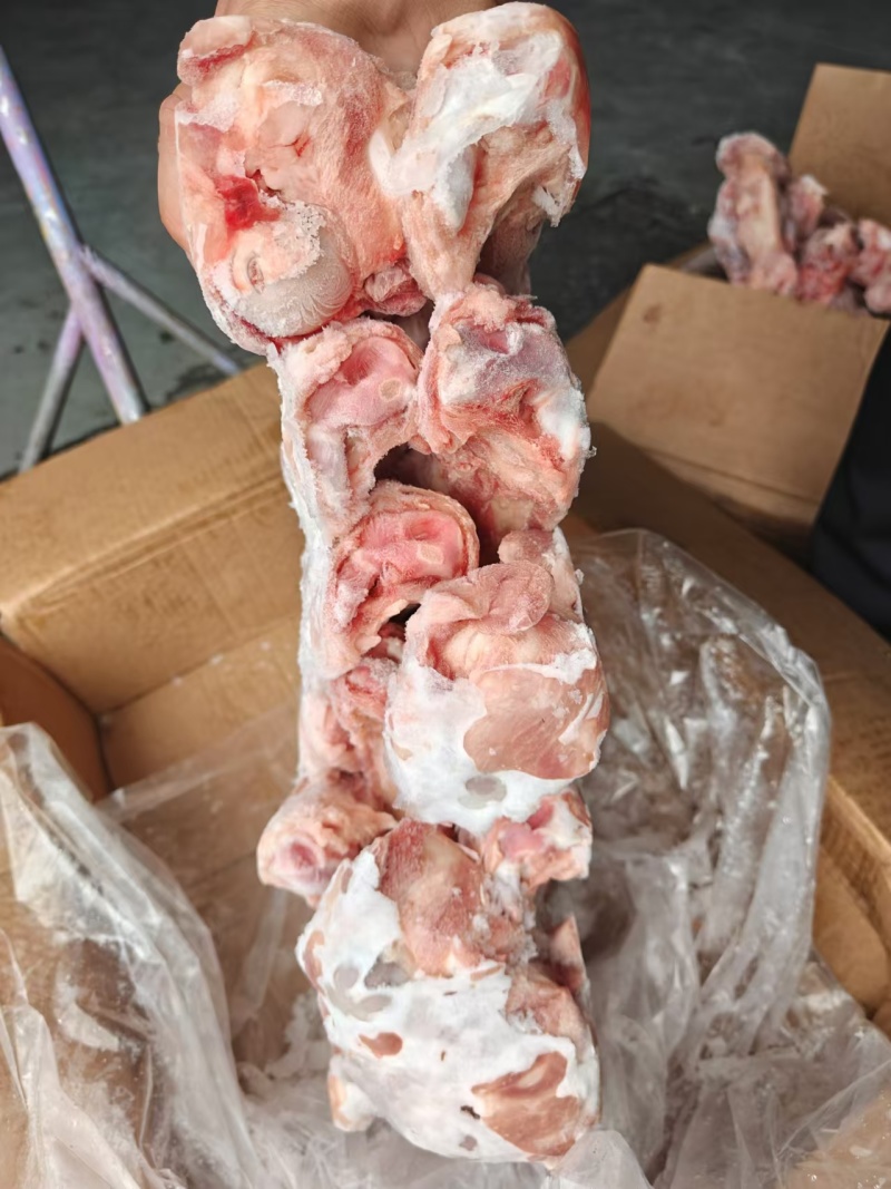 带肉前腿骨，30%肉，新货20吨，标猪